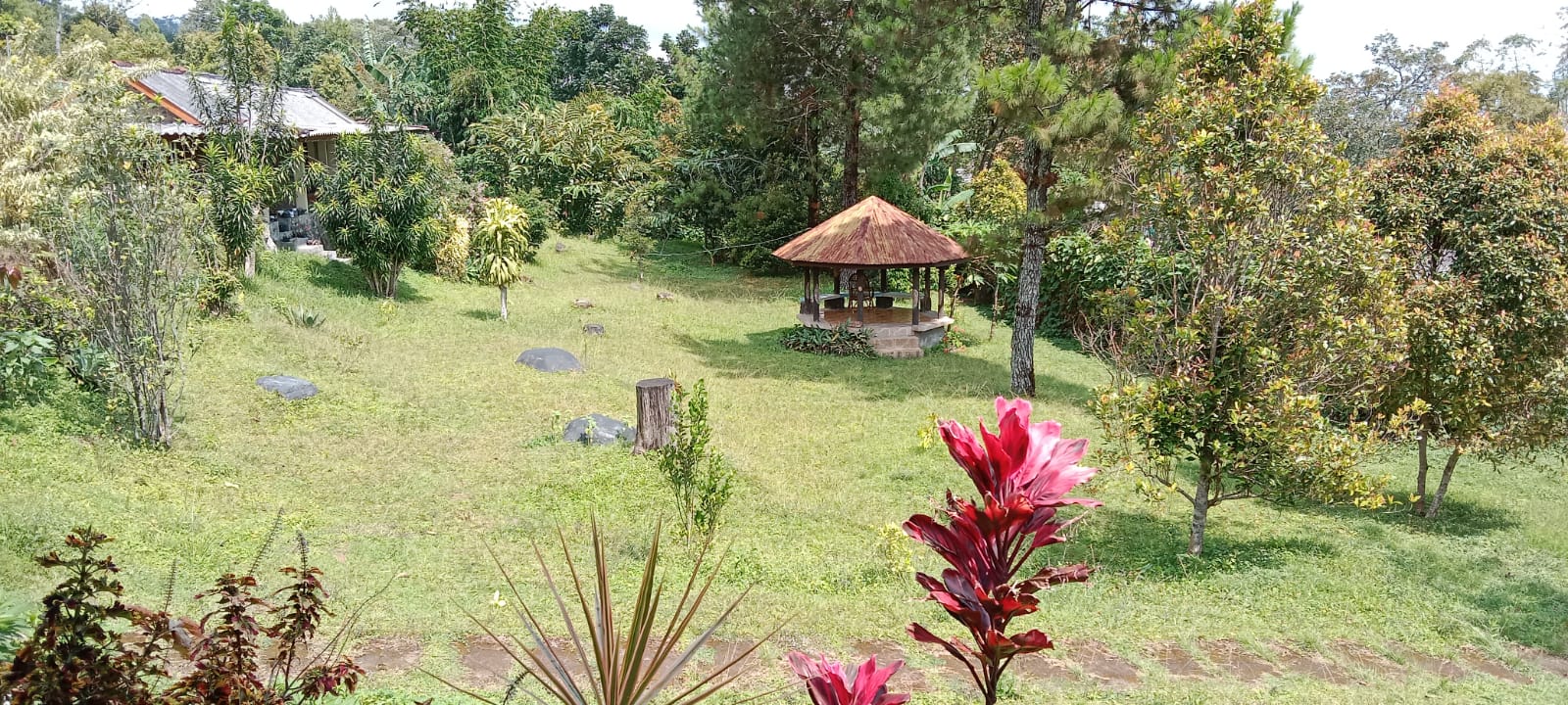 Kom. St. Martha Darmaningsih
