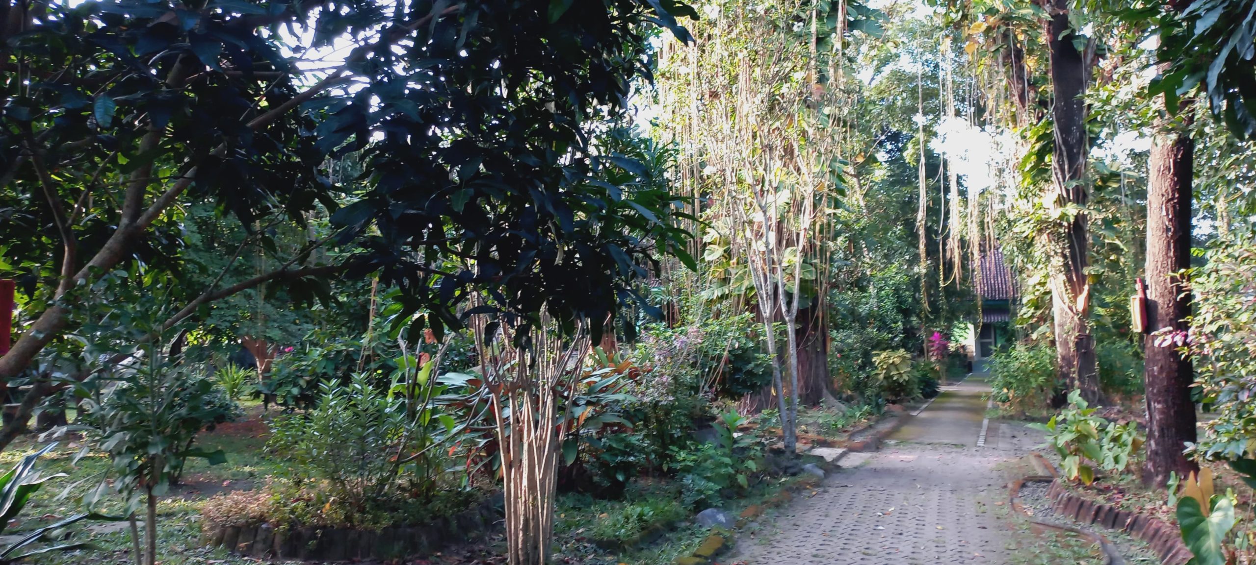 IMG-20250716-WA0022